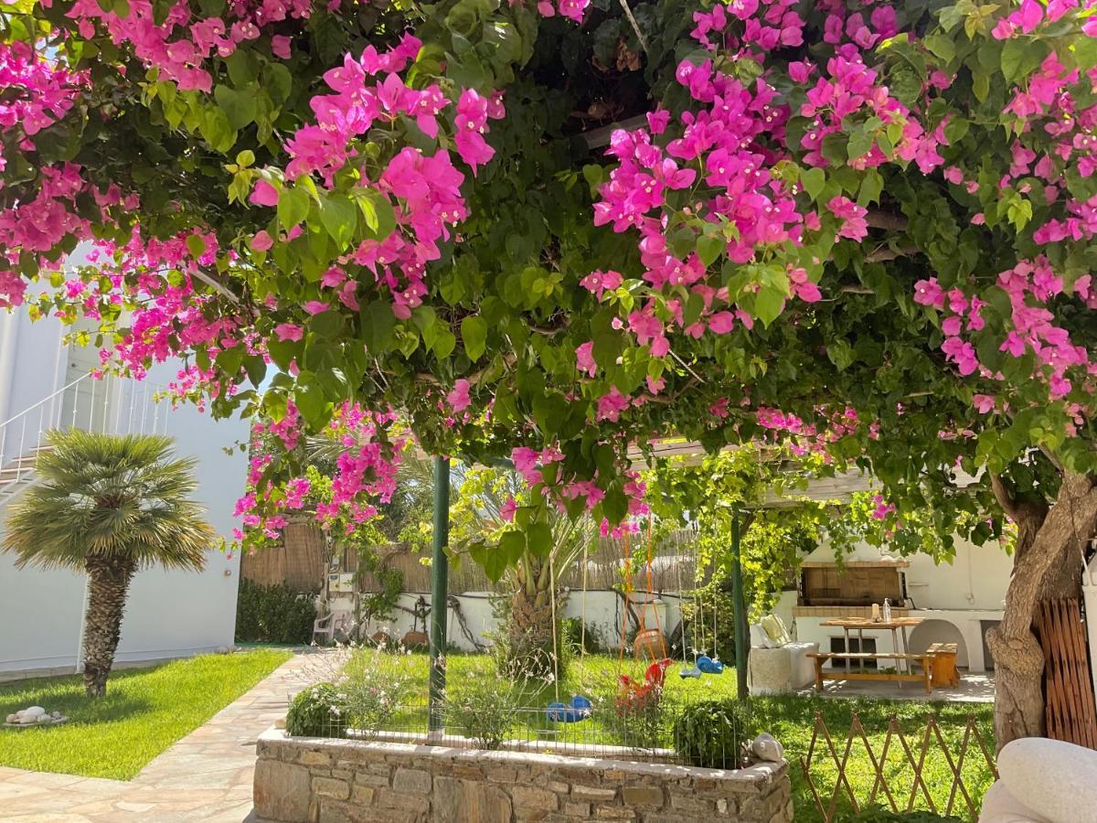 פארוס Rodia Studios & Apartments מראה חיצוני תמונה