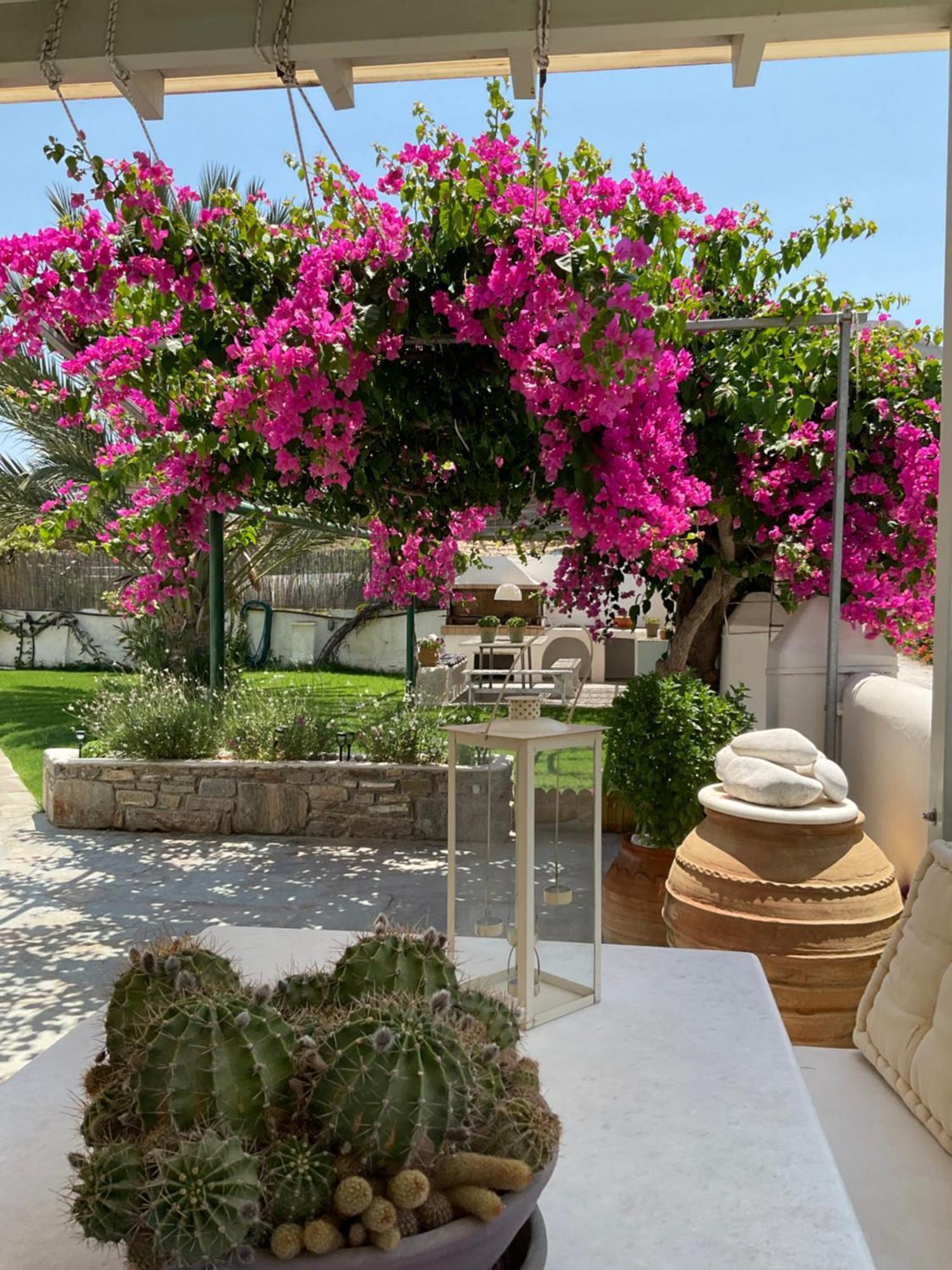 פארוס Rodia Studios & Apartments מראה חיצוני תמונה