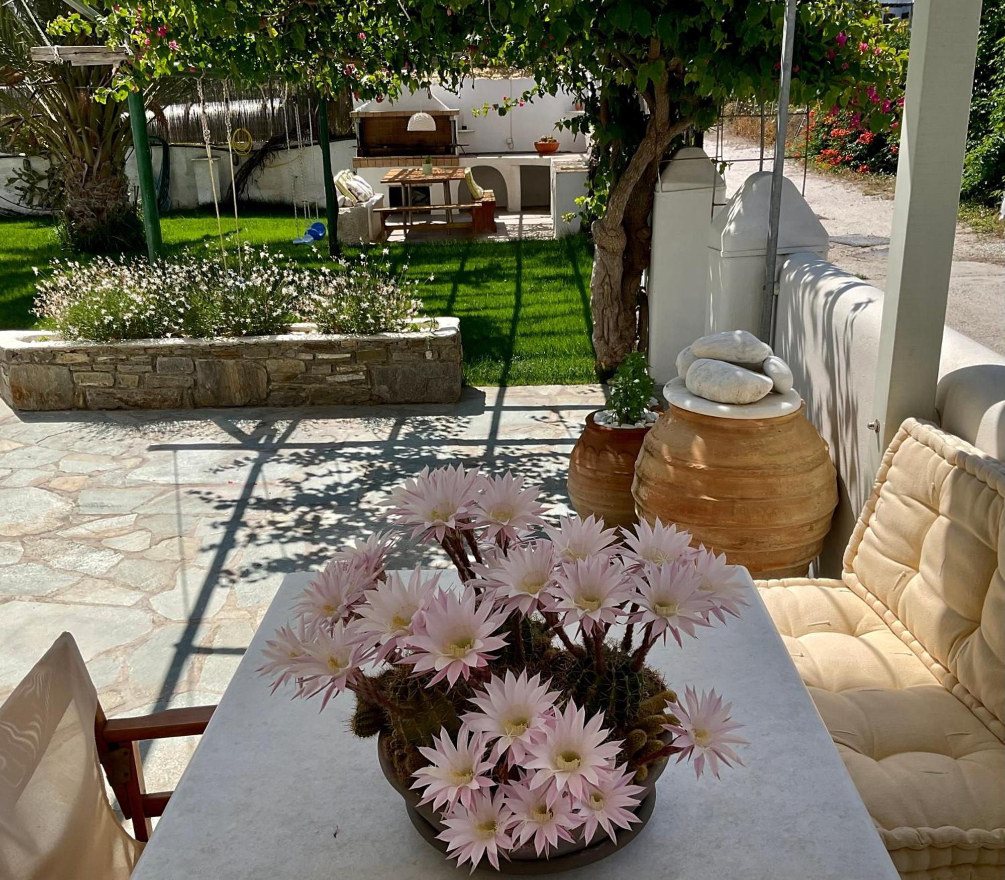 פארוס Rodia Studios & Apartments מראה חיצוני תמונה